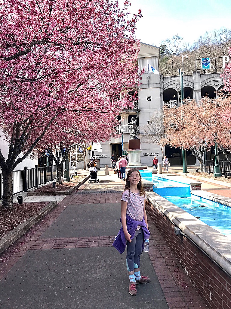 3995756A-3EE6-440A-9F83-5FD5197315EB