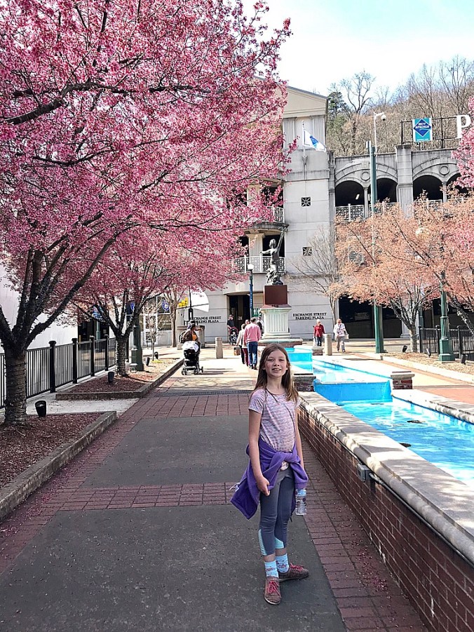 3995756A-3EE6-440A-9F83-5FD5197315EB