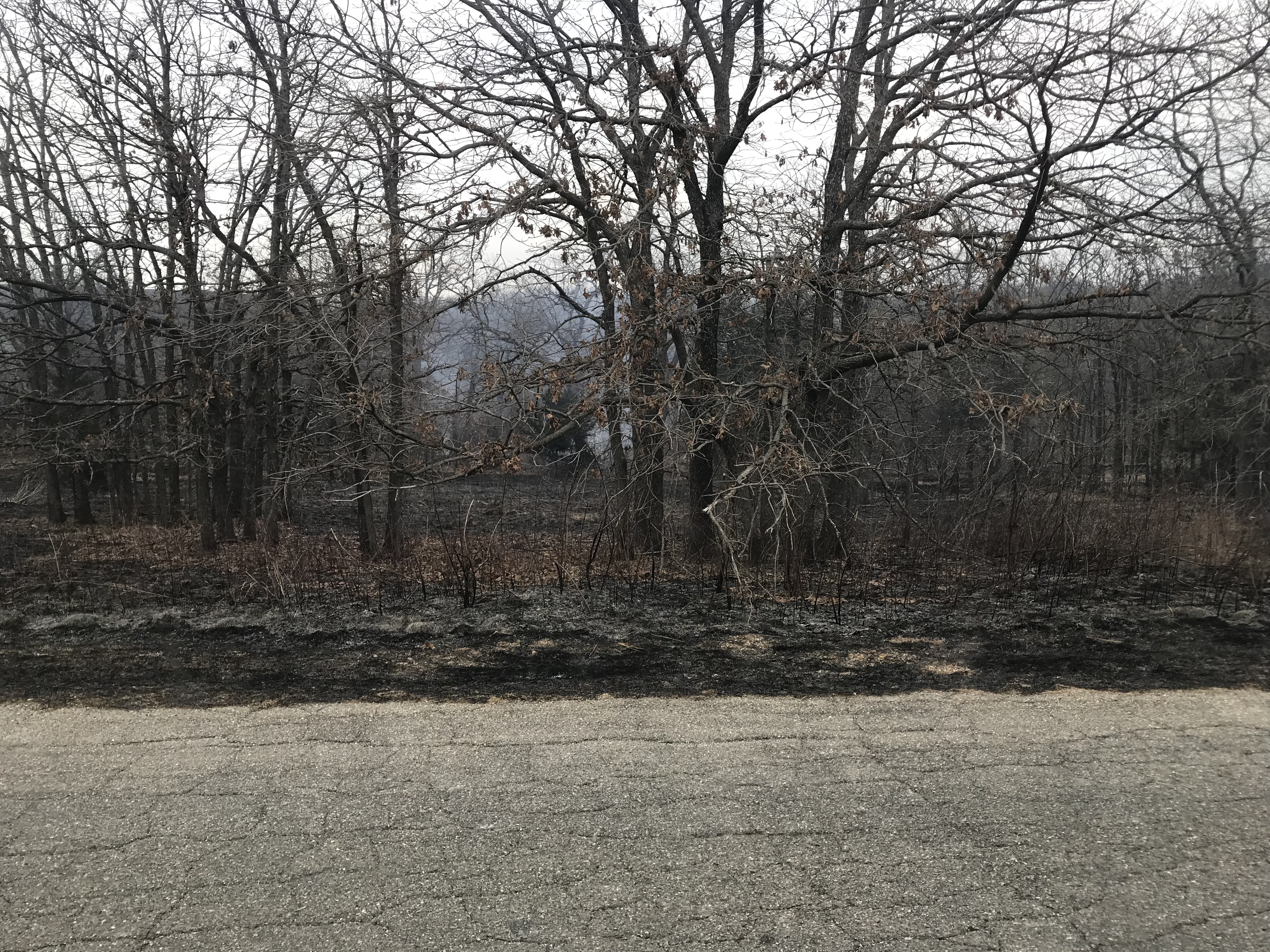 7E9AA21E-D2BE-4C88-9F3A-A0F501A91415