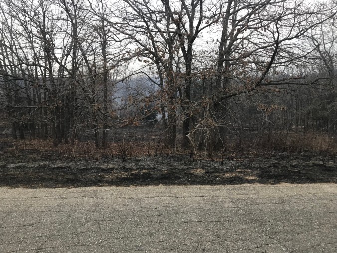 7E9AA21E-D2BE-4C88-9F3A-A0F501A91415