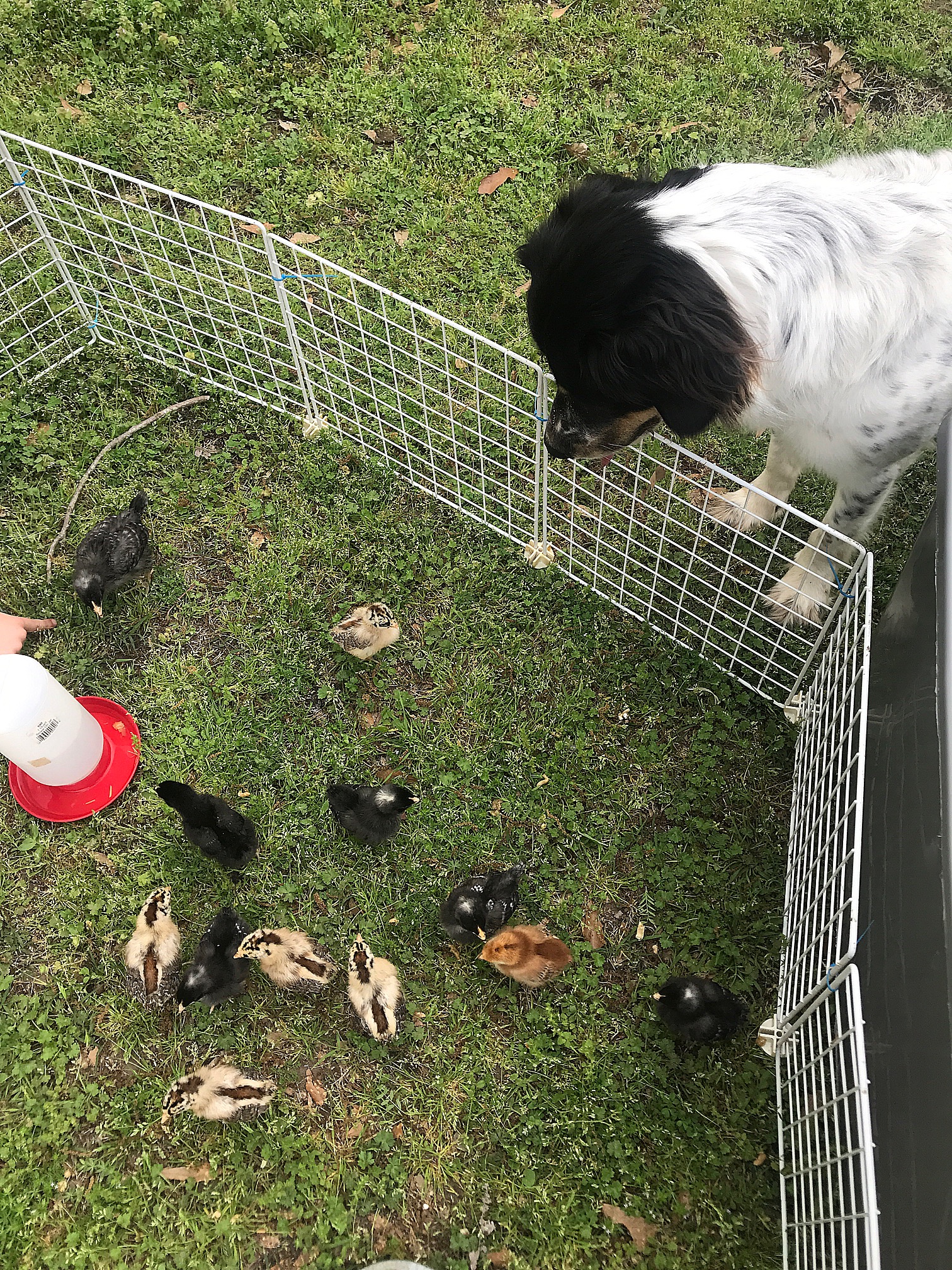 78E52B3F-DA44-44DF-BBD0-989B5387ED0B