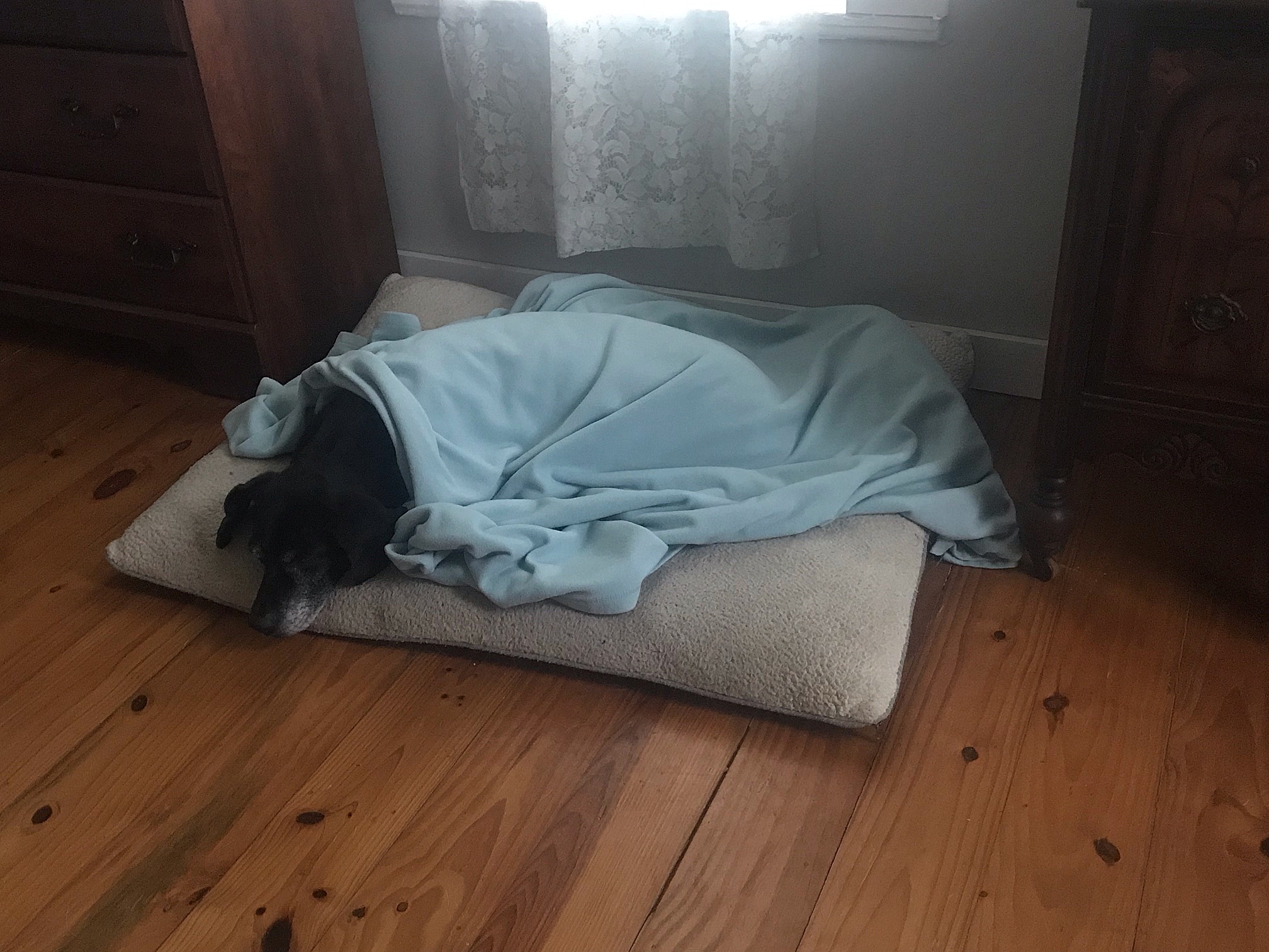 F4CEC362-3B1B-47DB-AC22-B3C06277B971